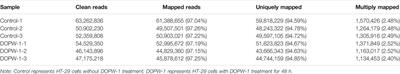 Effects of Different Molecular Weight Polysaccharides From Dendrobium officinale Kimura & Migo on Human Colorectal Cancer and Transcriptome Analysis of Differentially Expressed Genes